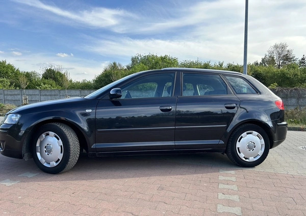 Audi A3 cena 14500 przebieg: 202000, rok produkcji 2004 z Kłobuck małe 67